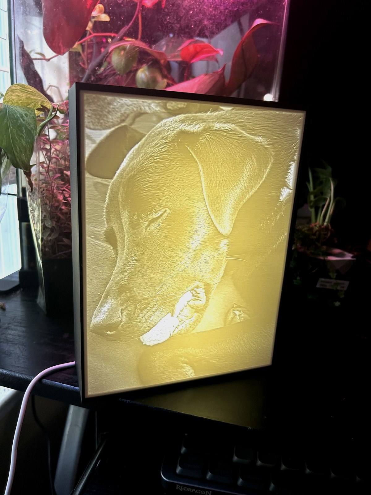 Custom lithophane glowing from a photo