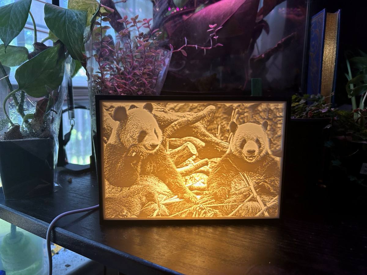 Giant panda pair lithophane night-light