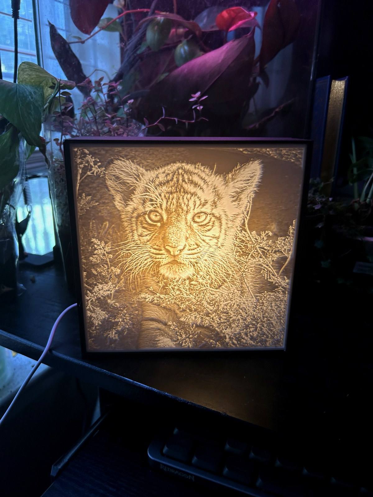 Bengal tiger lithophane night-light
